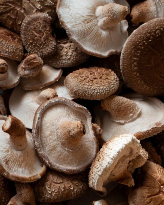 El Superalimento que no conocías Descubre los beneficios del hongo